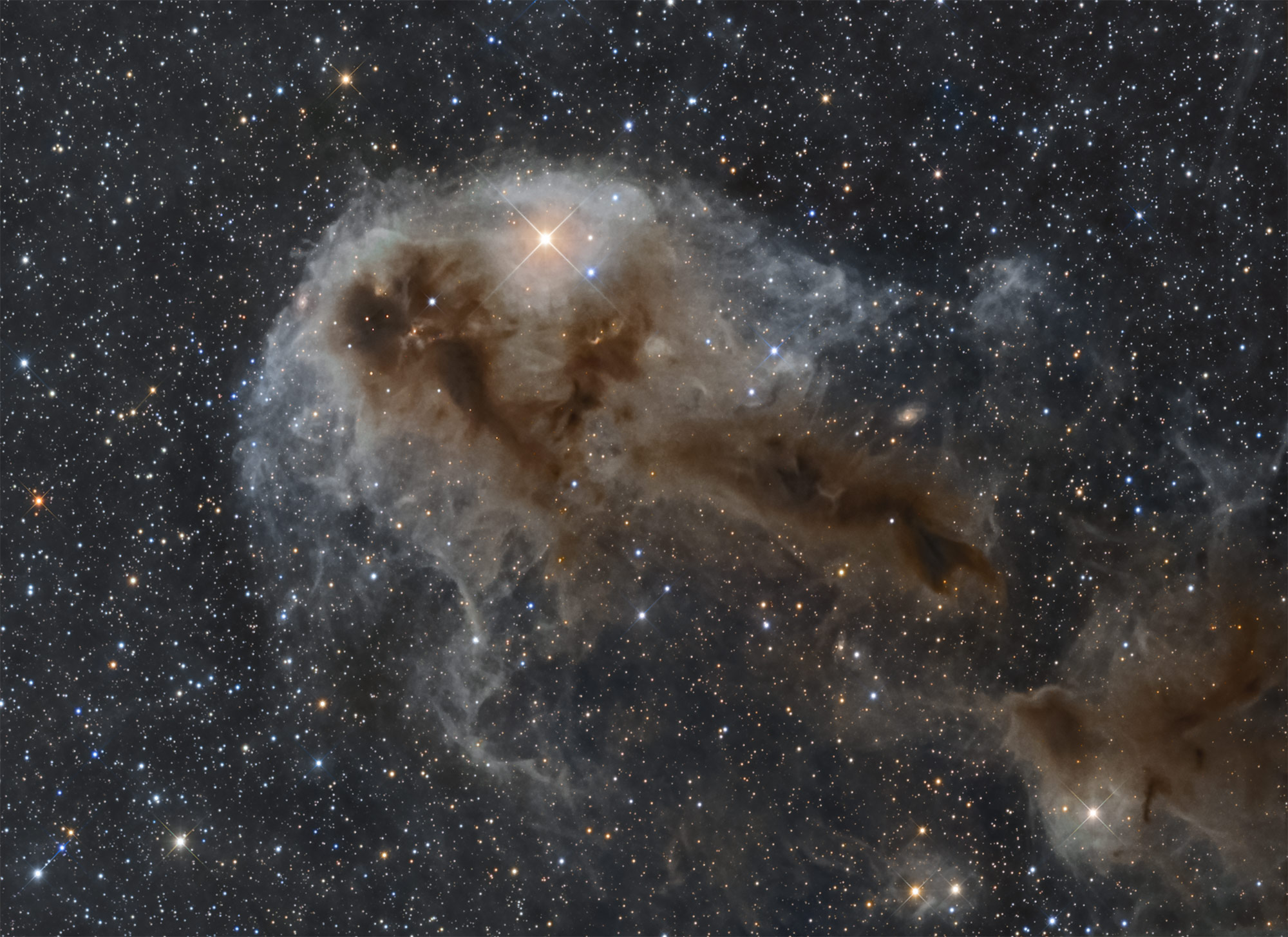 Die dunkle Staubwolke LDN 1250 im Cepheus