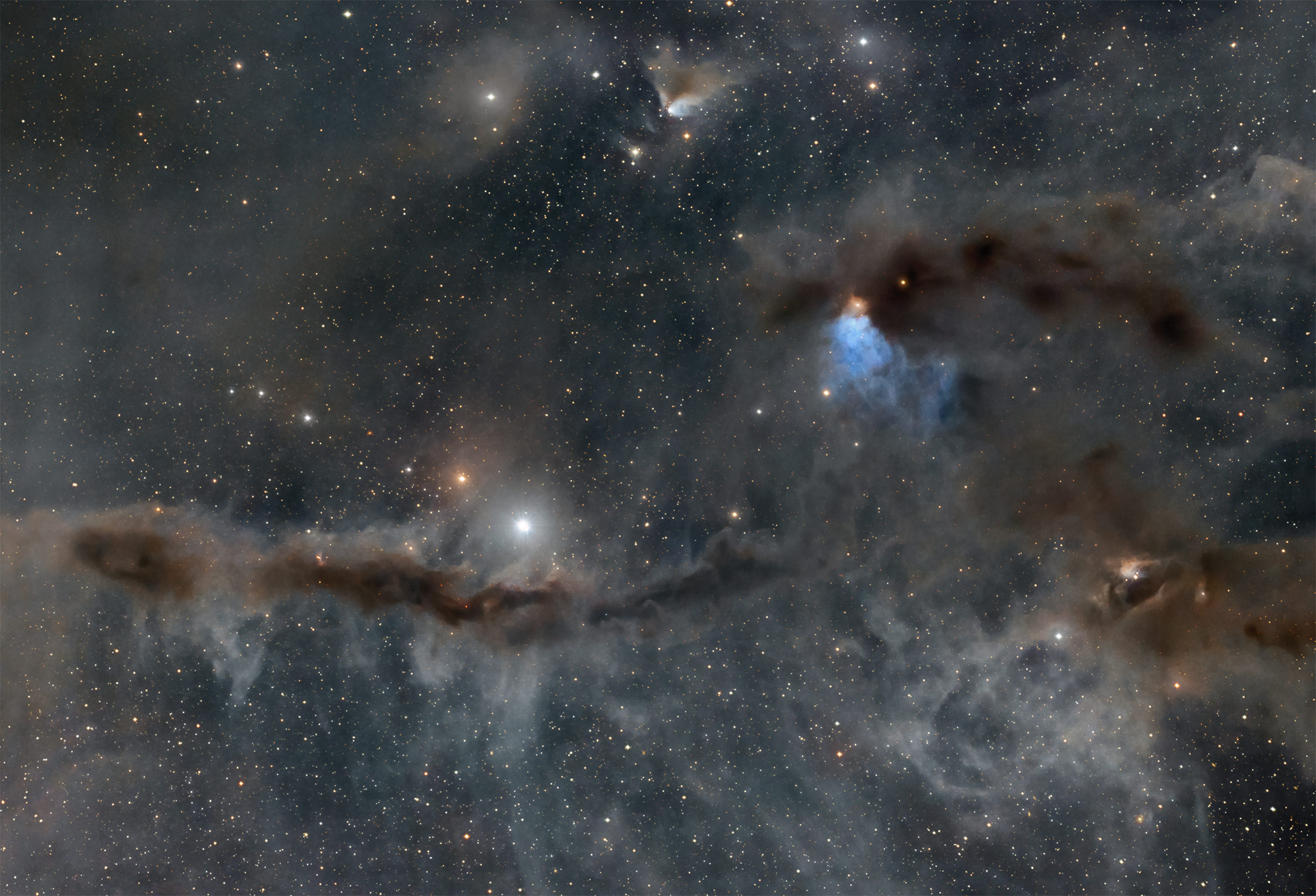 VDB 27, a complex of dusty nebulae, illuminated by numerous stars, lies on the edge of the Taurus Molecular Cloud only 450 light years away.